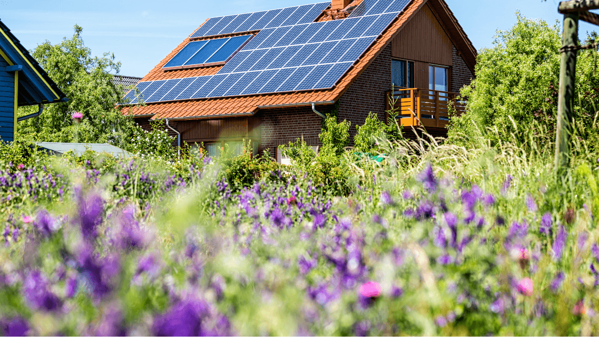 Steeds groter verschil tussen goedkoopste en duurste energiecontract voor huishoudens met zonnepanelen